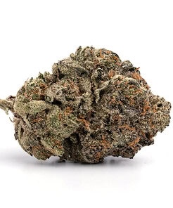 Ounce of <b>Purple Punch</b> (AAA)