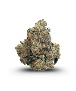 Ounce of <b>Diesel</b> (AAA)