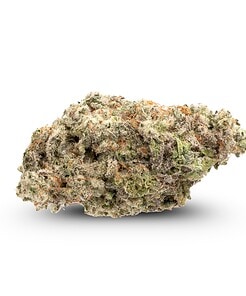 Half Ounce of <b>Alien Cookies</b> (AAAA) (14g)