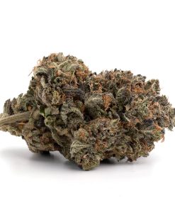 Ounce of <b>Island Pink</b> (AAA)