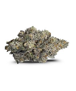 Ounce of <b>Jealousy</b> (AAA)