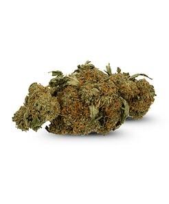 Ounce of <b>Northern Lights</b> (AA)