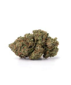 Ounce of <b>Chocolope</b> (AAA)