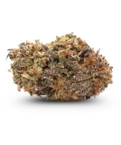 Ounce of <b>Chocolope</b> (AAA)