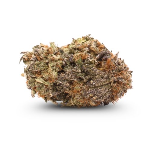 Ounce of <b>Chocolope</b> (AAA)