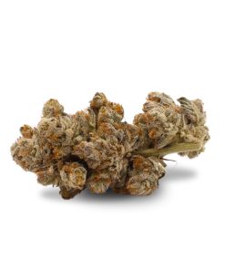 Half Ounce of <b>Chiquita Banana</b> (AAAA) (14g)