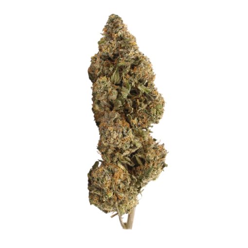 Half Ounce of <b>Hash Burger</b> (AAAA) (14g) - Image 3