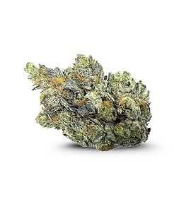 Ounce of <b>Lindsay OG</b> (AAA)