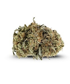 Ounce of <b>Lindsay OG</b> (AAA)