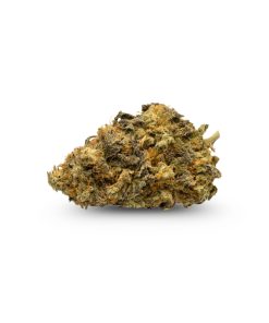 Ounce of <b>Acapulco Gold</b> (AA)