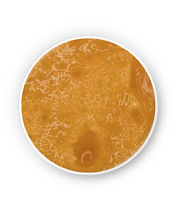 Blue Dream Live Resin (1g)