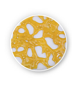 Purple Kush Shatter (1g)