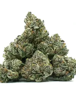 Ounce of <b>Bubba Kush Nibs</b> (AAA)