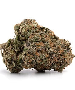 Ounce of <b>Gary Payton</b> (AAA)