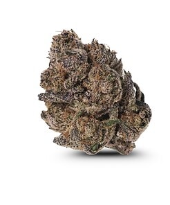 Ounce of <b>Girl Scout Cookies</b> (AAA)