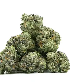 Ounce of <b>Pink Kush Nibs</b> (AAA)