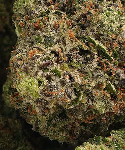 Alternative view of Pre-Rolls - 14 Pack RAW Black - King Sized - <b>Cereal Milk</b>