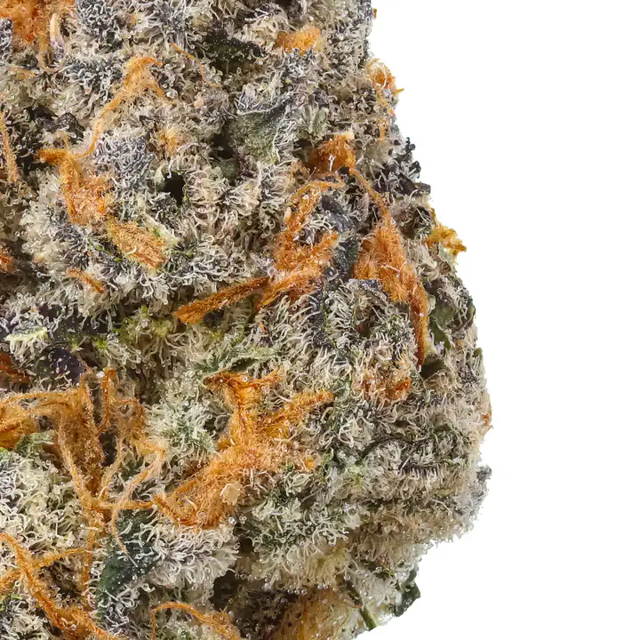 Pre-Rolls - 8 Pack RAW Wallet - King - <b>Animal Cookies</b> - Image 2