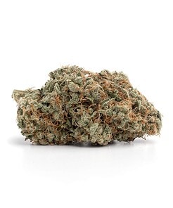 Ounce of <b>Comatose</b> (AAA)