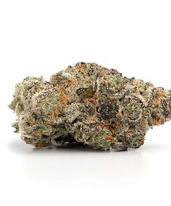 Ounce of <b>Purple Haze</b> (AAA)