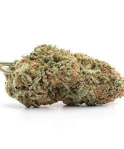 Half Ounce of <b>Sour Tangie</b> (AAAA) (14g)