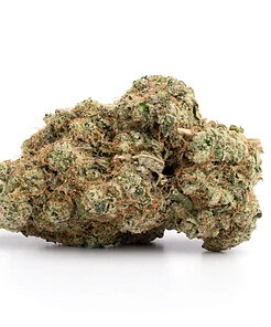 Half Ounce of <b>Violator Kush</b> (AAAA) (14g)