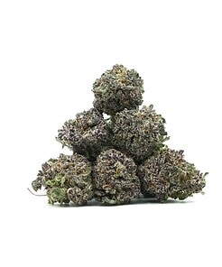 Ounce of <b>Jet Fuel Nibs</b> (AAA)