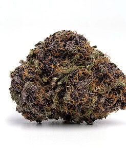 Ounce of <b>Purple Urkle</b> (AAA)