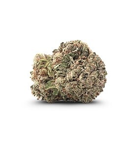 Ounce of <b>Bubblegum</b> (AAA)