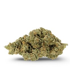 Ounce of <b>Harlequin</b> (High CBD) (AAA)