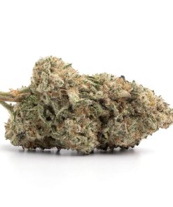 Ounce of <b>White Rhino</b> (AA)