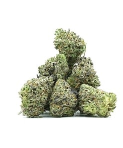 Ounce of <b>Black Cherry Punch Nibs</b> (AAA)