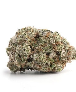 Ounce of <b>Black Forest Cake</b> (AAA)