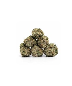 Ounce of <b>Comatose Nibs</b> (AAA)