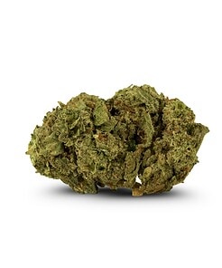 Ounce of <b>Jean Guy</b> (AAA)