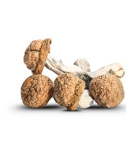 Jedi Mind Fuck Mushrooms