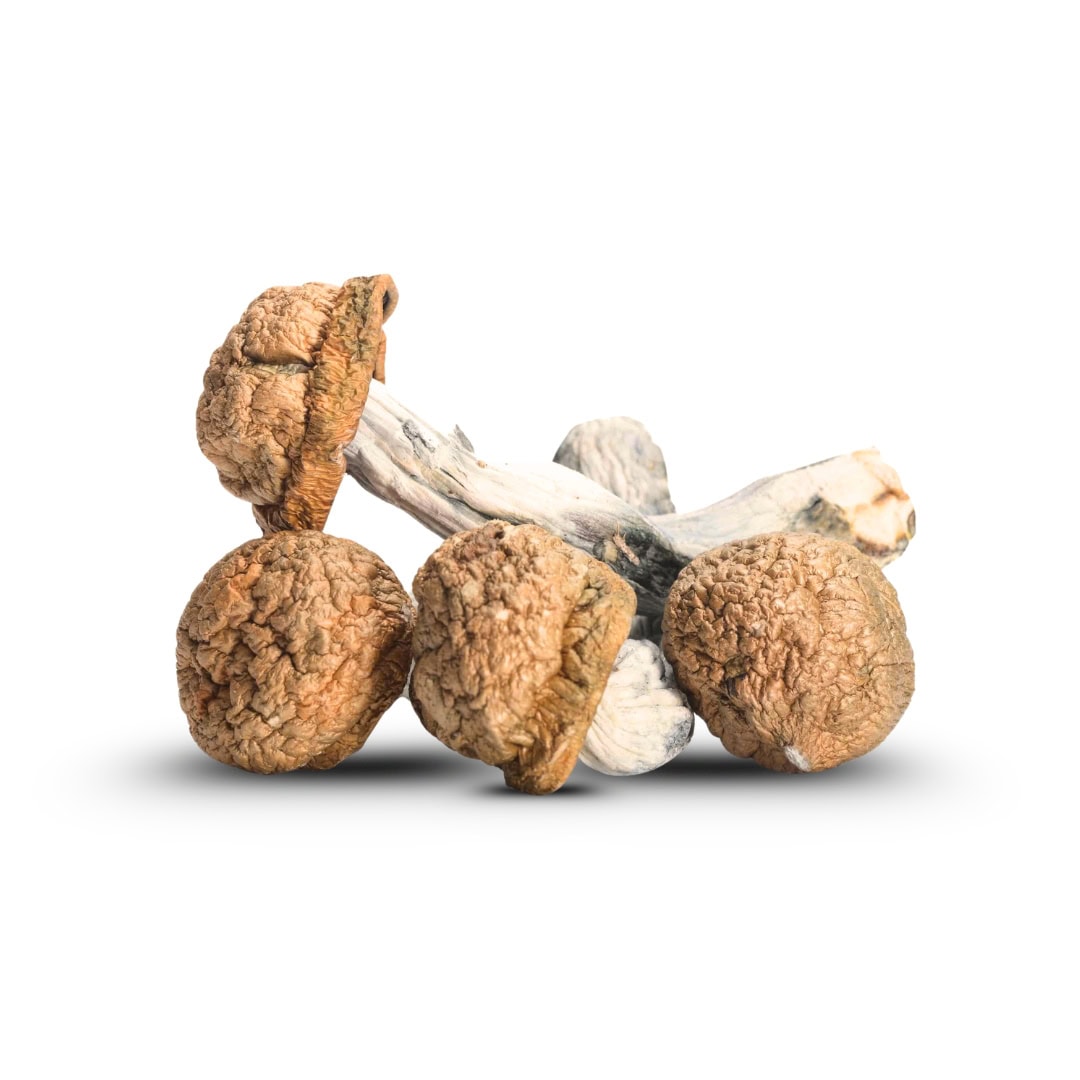 Jedi Mind Fuck Mushrooms