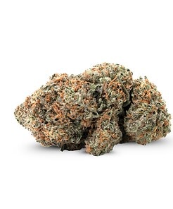 Ounce of <b>Panama Red</b> (AAA)