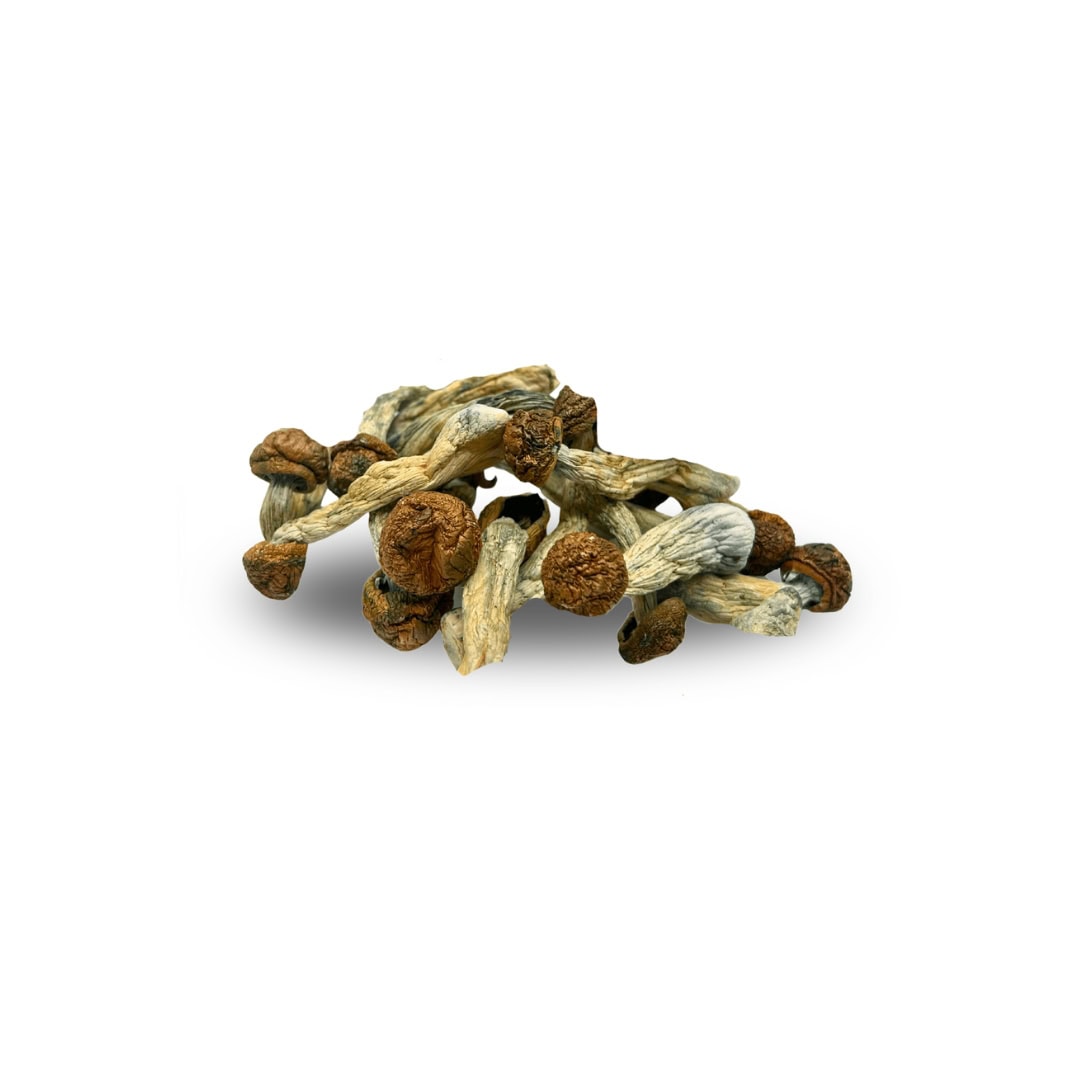 Cambodian Mushrooms