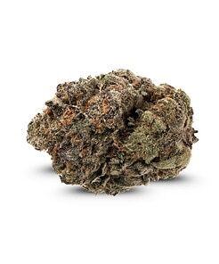 Ounce of <b>Jet Fuel Gelato</b> (AAA)