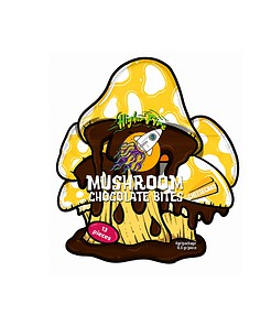 Higher Fire Mushroom Chocolate Bites - Cheesecake (4g)
