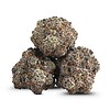 Ounce of <b>Gelatti</b> (AAAA) (28g)