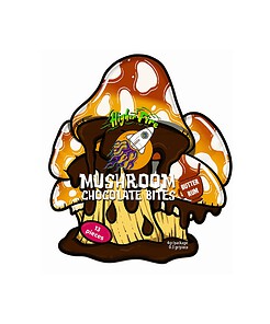 Higher Fire Mushroom Chocolate Bites - Butter Rum (4g)