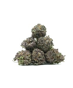 Ounce of <b>Purple Diesel Nibs</b> (AAA)